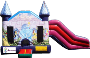 4&1 Disney Princess Combo