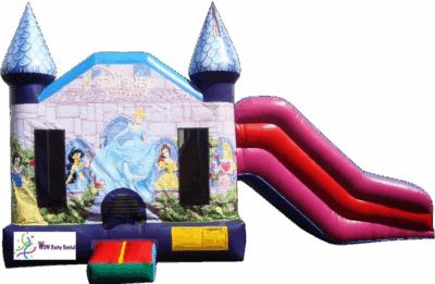 4&1 Disney Princess Combo