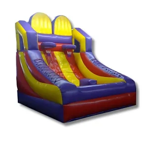 Basketball Hoop Shot