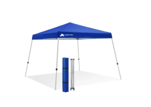 10×10 Canopy